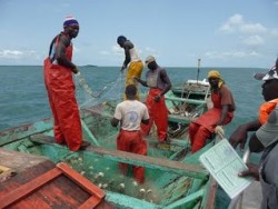 Arraisonnement de pêcheurs sur le parc national d'Orango - Archipel des Bijagos (Guinée Bissau)