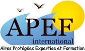 APEF International